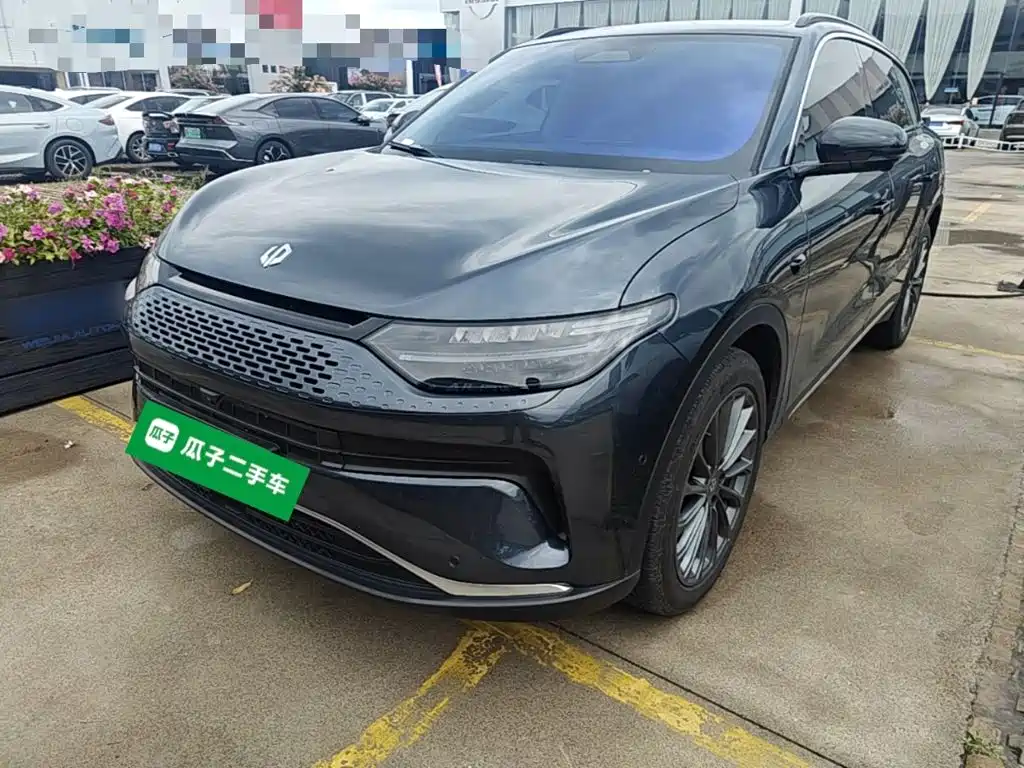 Leapmoon C11 2024 Extended Range 300 Exclusive Edition купить на сайте DeffCars