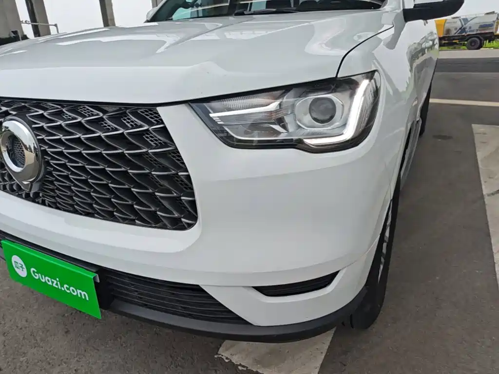 Cannon (Poer) 2019 2.0T Commercial Manual Diesel 2WD Elite Long Case GW4D20M купить на сайте DeffCars