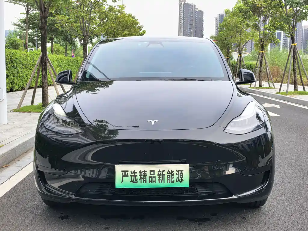 Model Y 2022 rear-wheel drive version купить на сайте DeffCars
