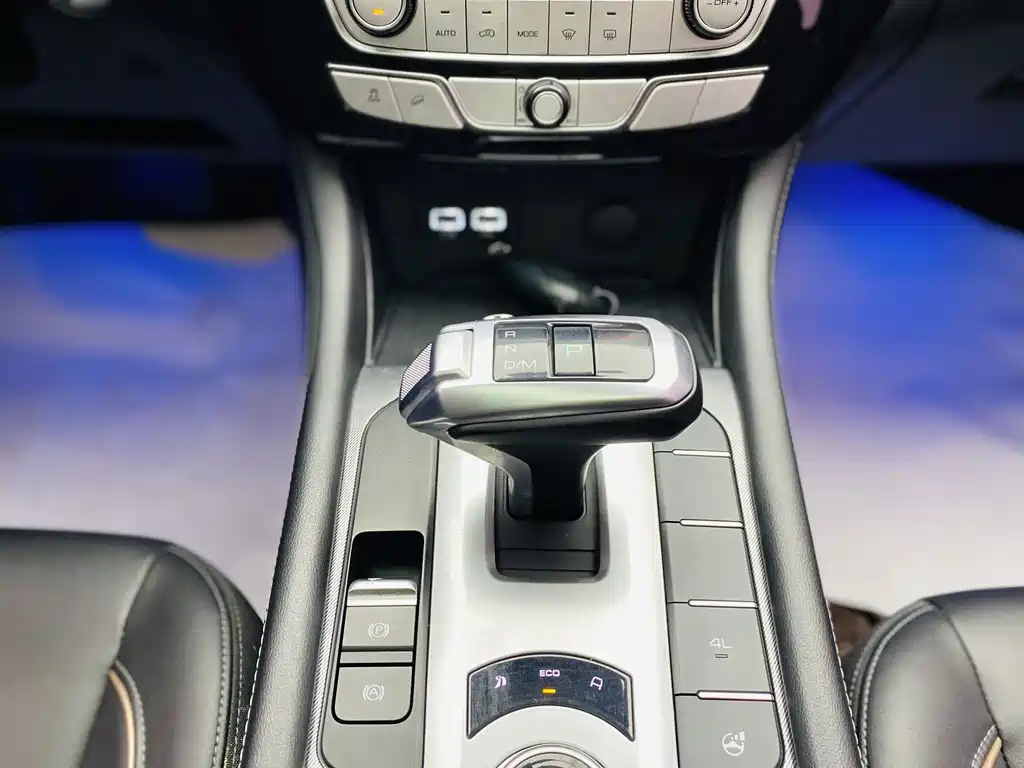 Cannon 2021 2.0T passenger global version automatic diesel four-wheel drive comfort standard box trailer version GW4D20M купить на сайте DeffCars