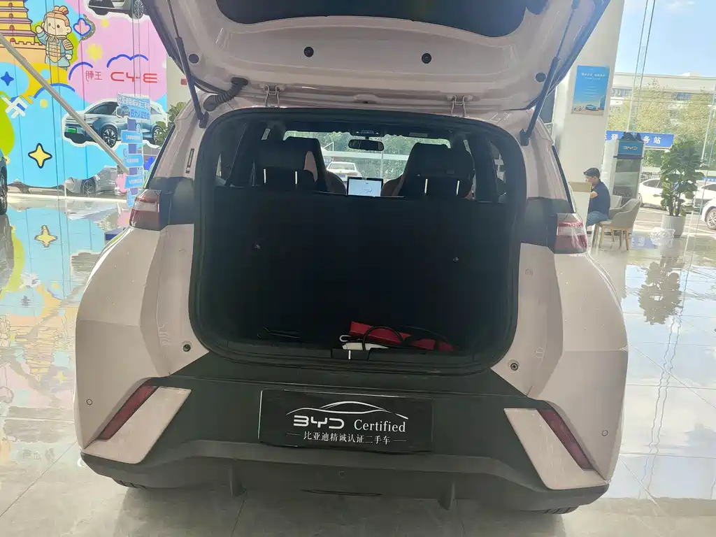 Seagull 2025 model 305km free version купить на сайте DeffCars
