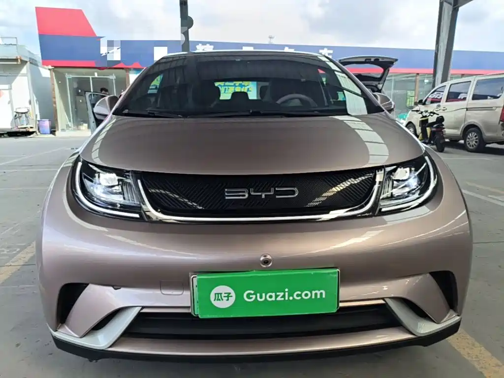 Dolphin 2021 405km Free Edition купить на сайте DeffCars