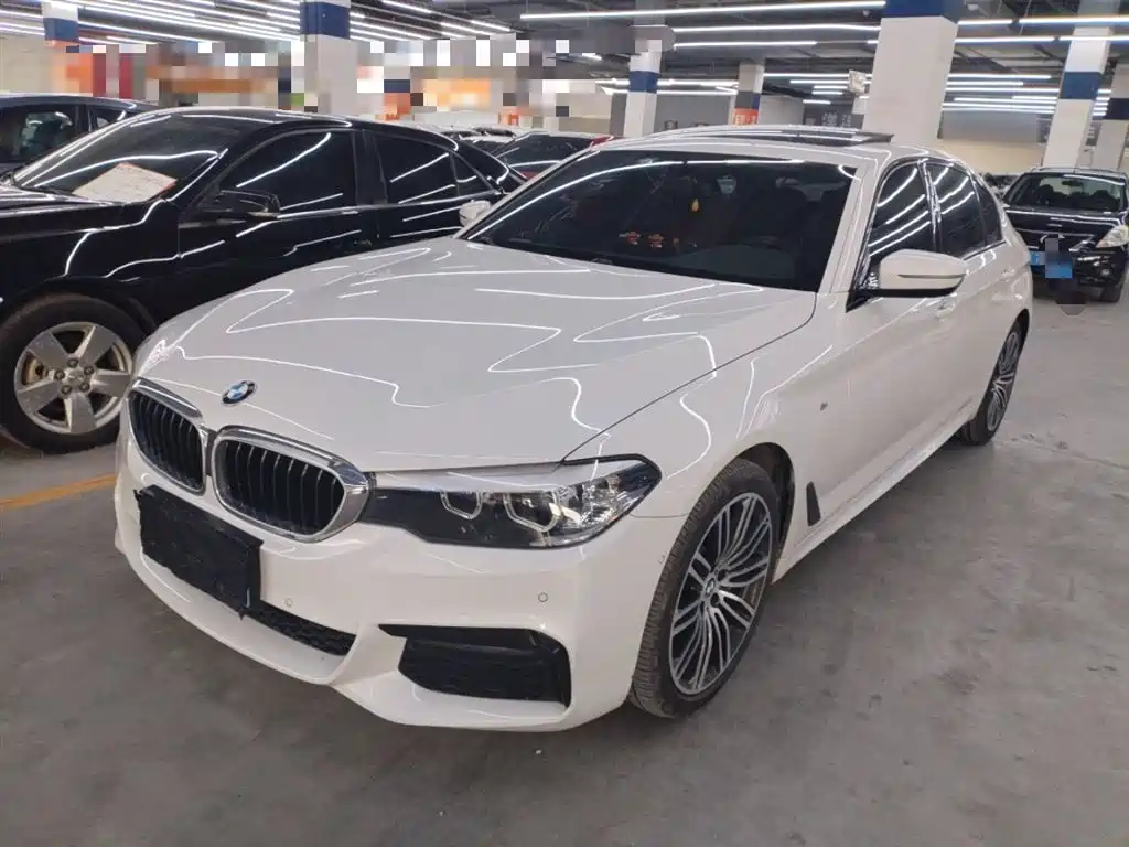 BMW 5 Series 2019 530Li Leading M Sports Package купить на сайте DeffCars