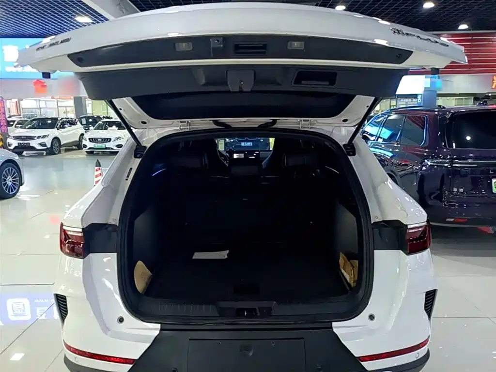 Song PLUS 2020 1.5T automatic premium model купить на сайте DeffCars