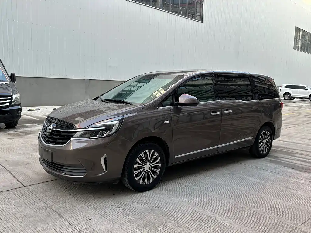 Buick GL8 2020 Land Business Class 652T Luxury купить на сайте DeffCars