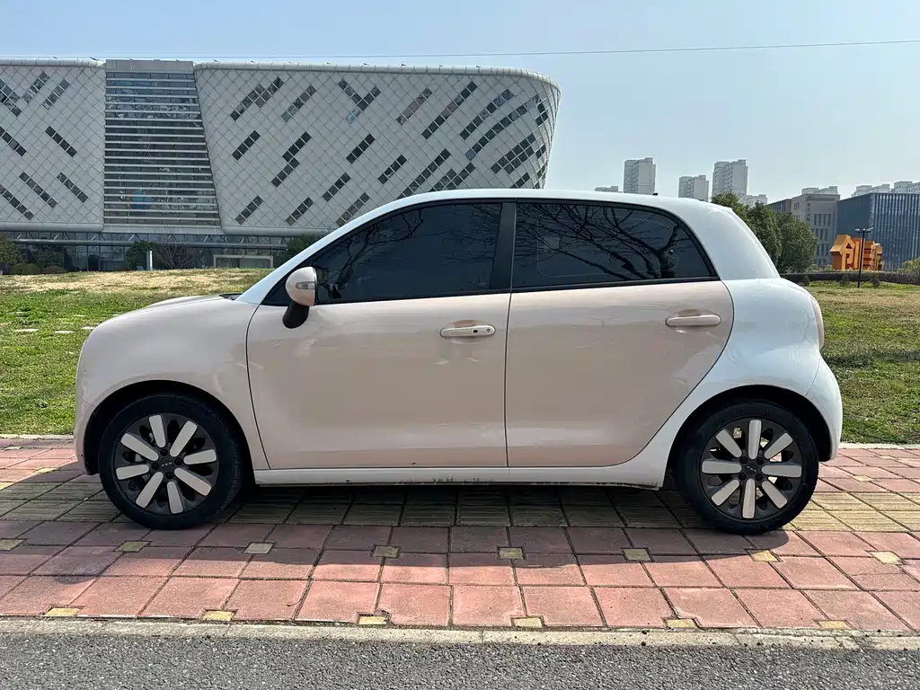 Euler Black Cat 2021 351km standard model купить на сайте DeffCars