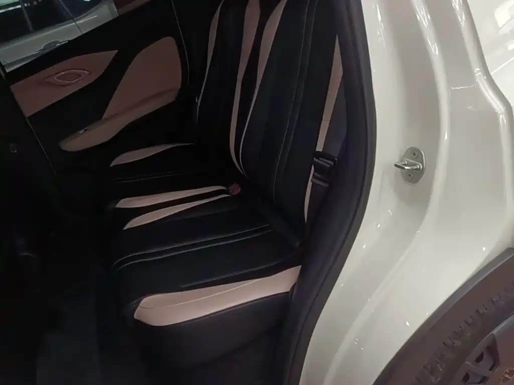 Seagull 2023 Vitality Edition купить на сайте DeffCars