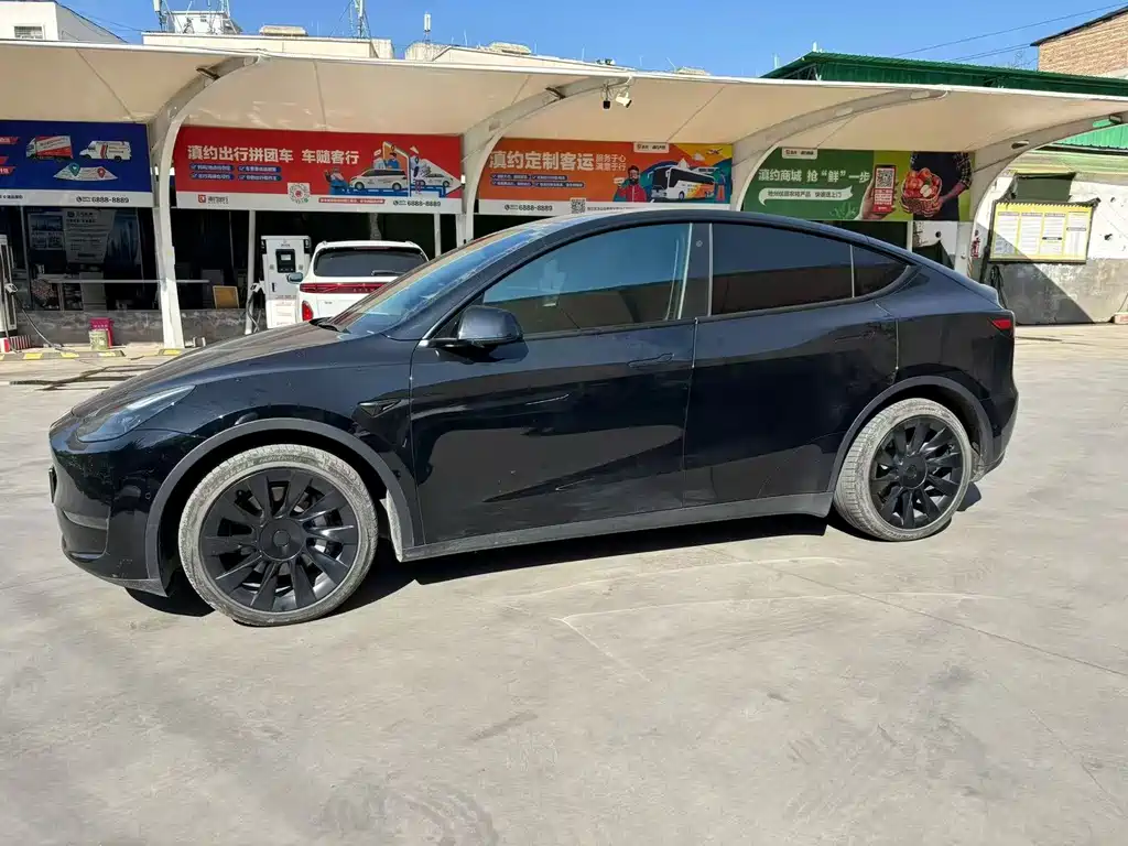 Model Y 2021 standard range rear-wheel drive version купить на сайте DeffCars