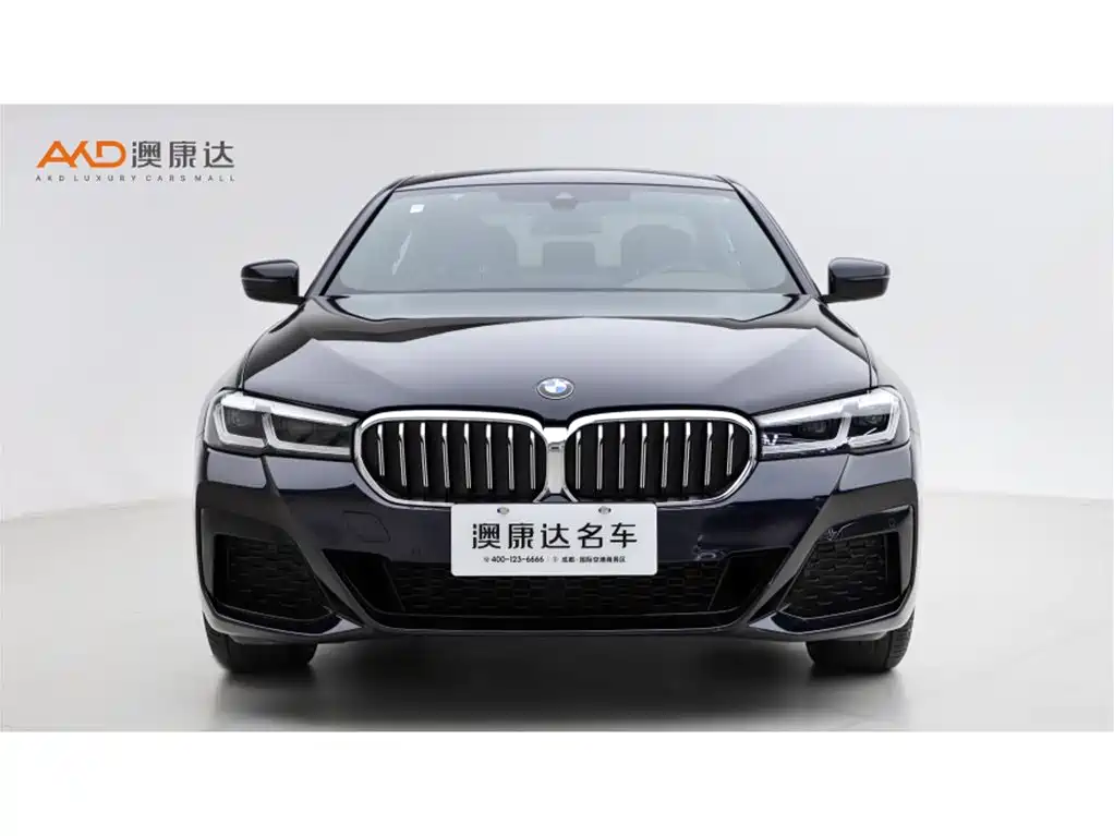BMW 530Li/2.0T/23 models/leading M sports package купить на сайте DeffCars