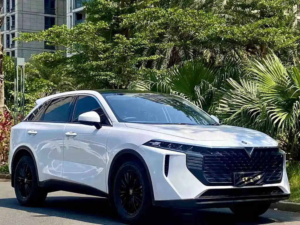 Venucia Big V 2021 260T Idol Edition купить на сайте DeffCars