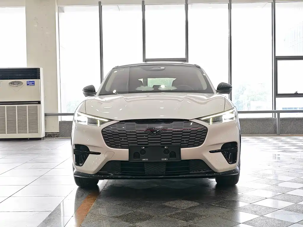 Ford E-horse 2021 Borderless rear-wheel drive luxury version with long battery life купить на сайте DeffCars