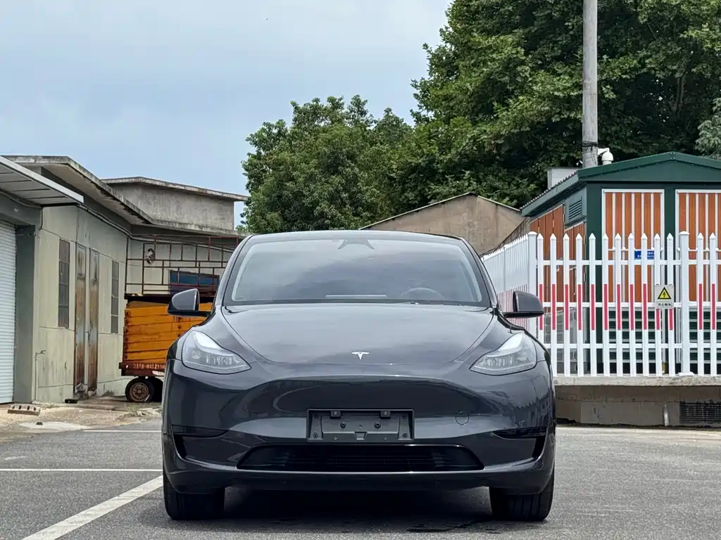 Model Y 2024 rear-wheel drive version купить на сайте DeffCars