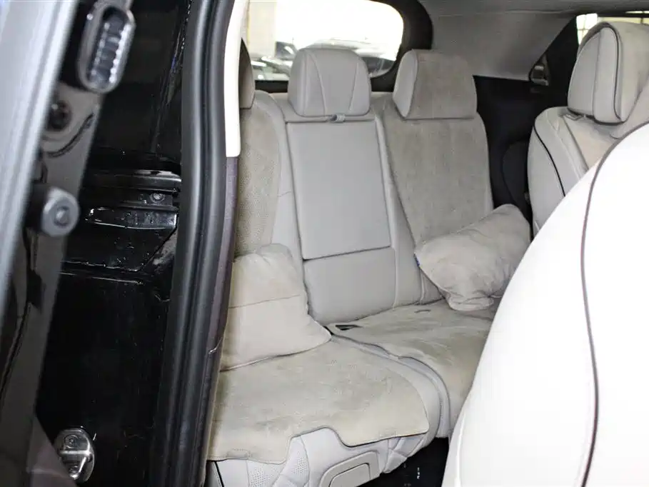 Denza D9 2024 DM-i 970 luxury model купить на сайте DeffCars