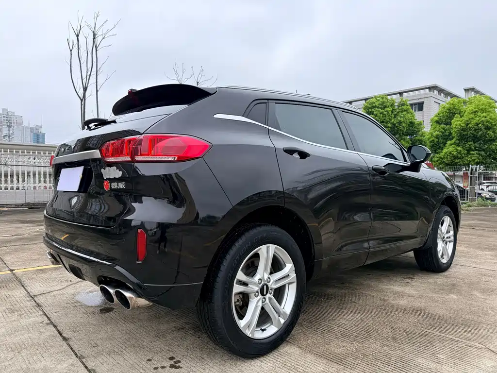 Wei brand VV5 2019 1.5T two-wheel drive Yanfeng купить на сайте DeffCars