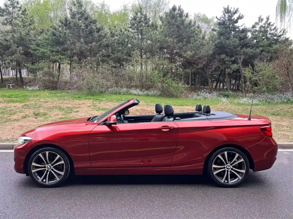BMW 2 Series Imported 2019 225i Convertible Coupe Sports Design Package купить на сайте DeffCars