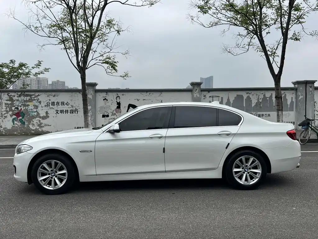 BMW 5 Series 2017 520Li Elegant купить на сайте DeffCars
