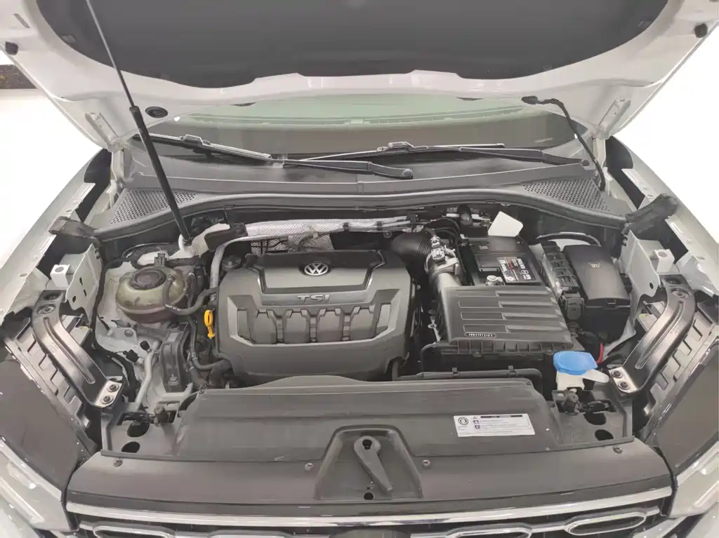 Tanyue 2019 330TSI two-wheel drive luxury model, National VI купить на сайте DeffCars
