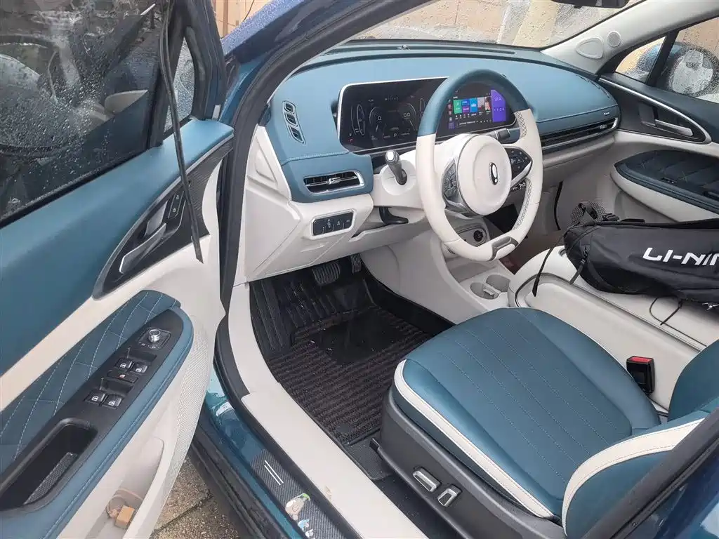 Euler Good Cat 2023 model 401km standard battery life luxury model lithium iron phosphate купить на сайте DeffCars