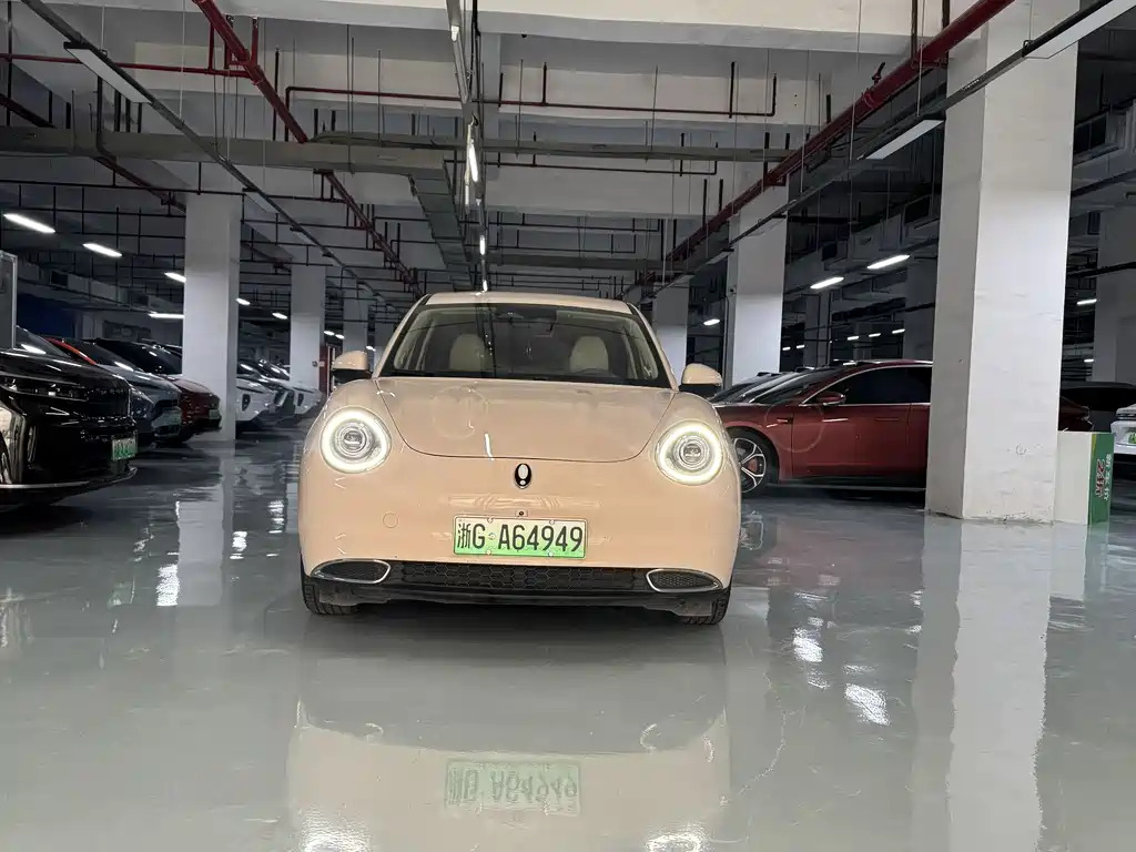 Euler Good Cat 2021 model 400km standard battery life Venus version ternary lithium купить на сайте DeffCars