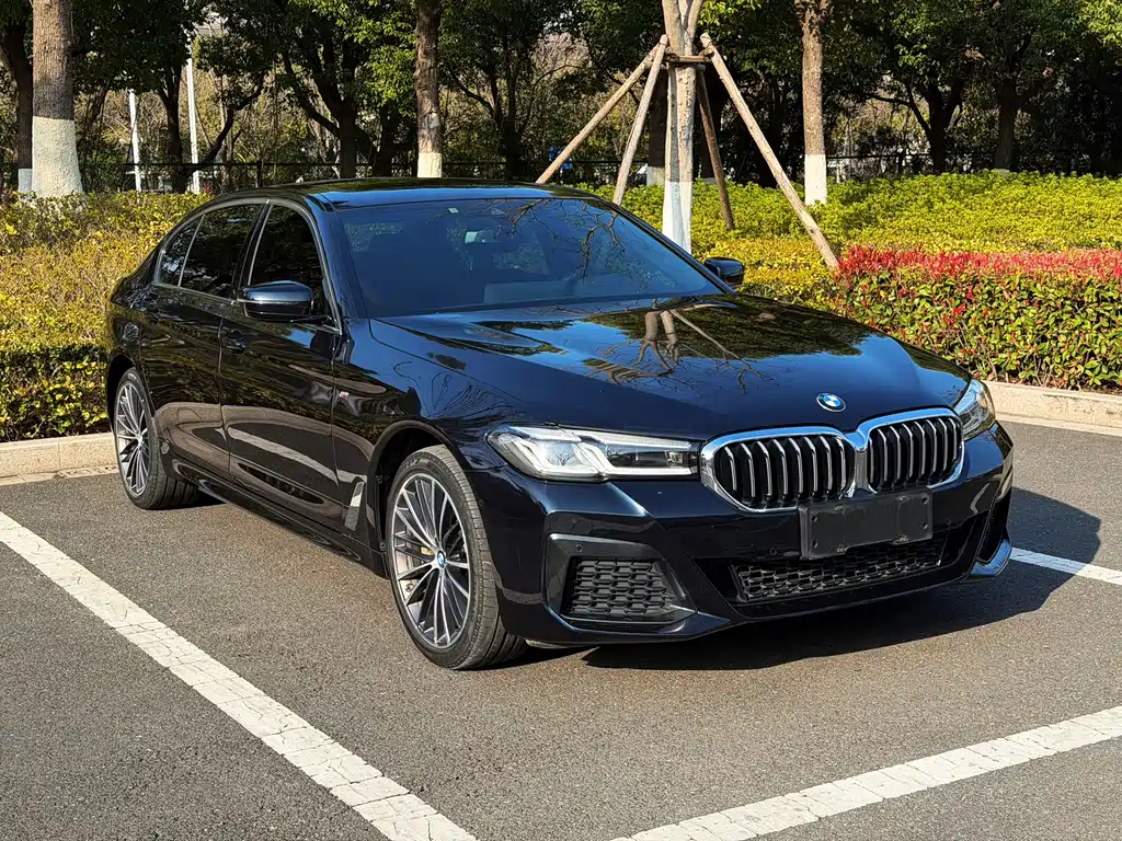 BMW 5 Series 2021 530Li Leading M Sports Package купить на сайте DeffCars