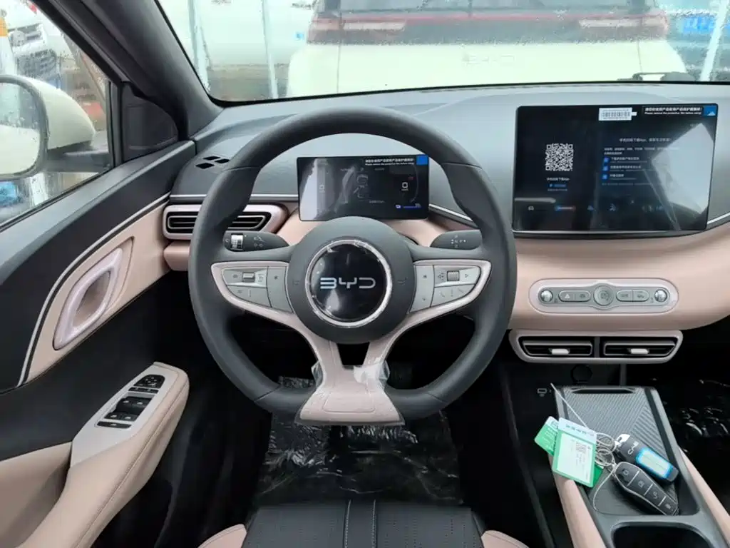 Seagull 2025 Smart Driving Edition 305km Dynamic купить на сайте DeffCars
