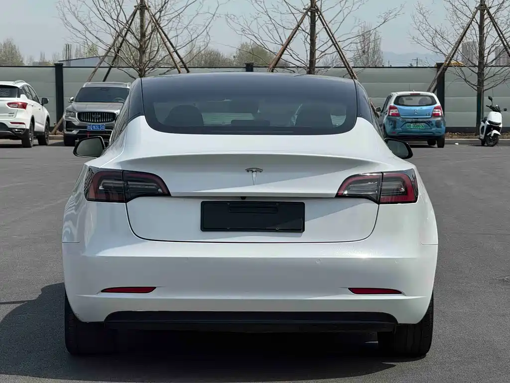Model 3 2020 facelift standard range rear drive upgraded version купить на сайте DeffCars
