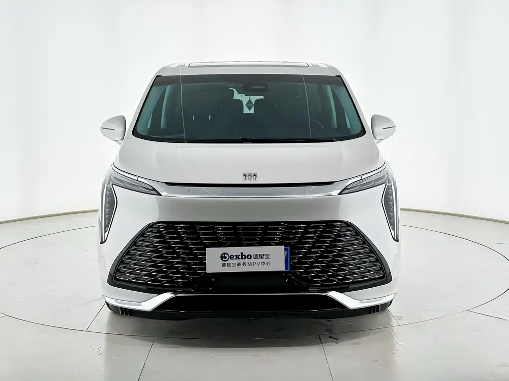 Century 2023 2.0T Six-seater Yuanshi Edition купить на сайте DeffCars