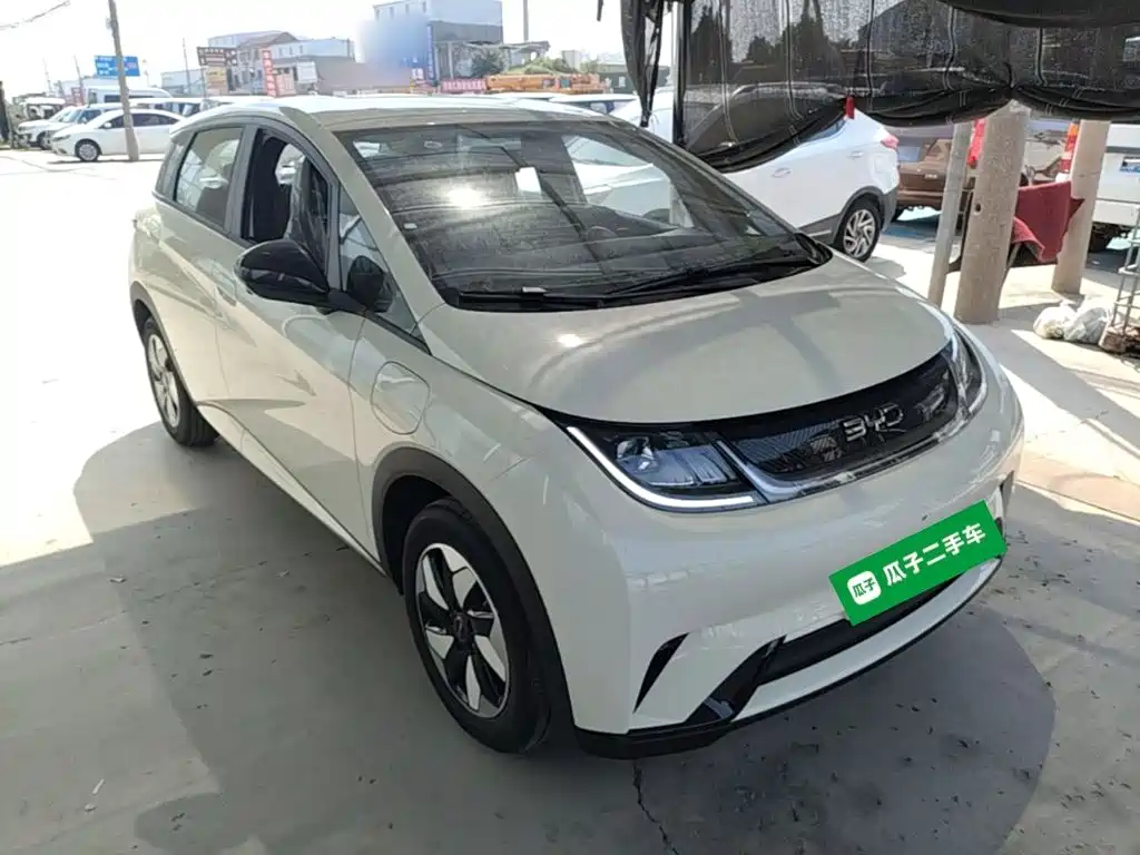 Dolphin 2025 420km Free Edition купить на сайте DeffCars
