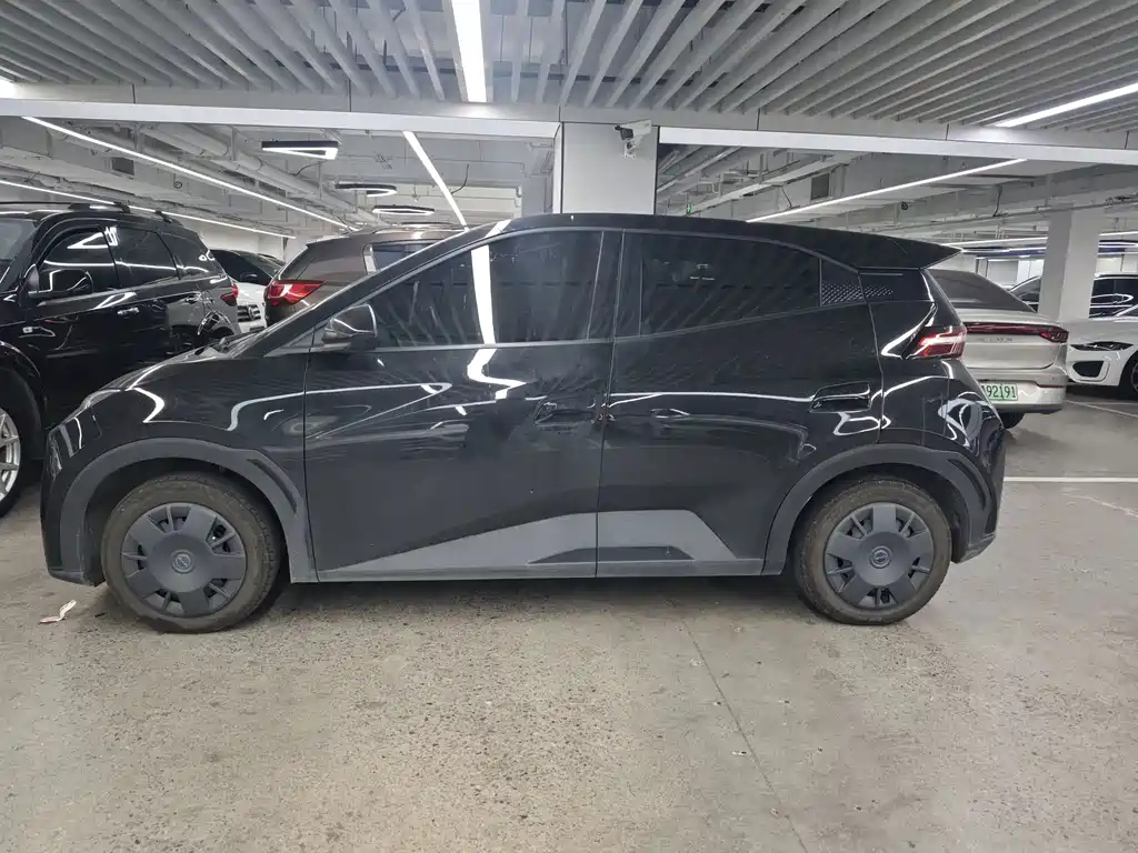 Seagull 2025 305km active version купить на сайте DeffCars