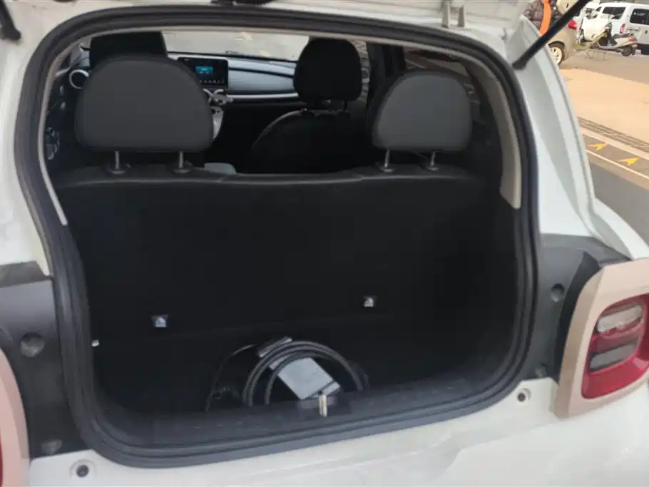 Euler Black Cat 2021 351km standard model купить на сайте DeffCars