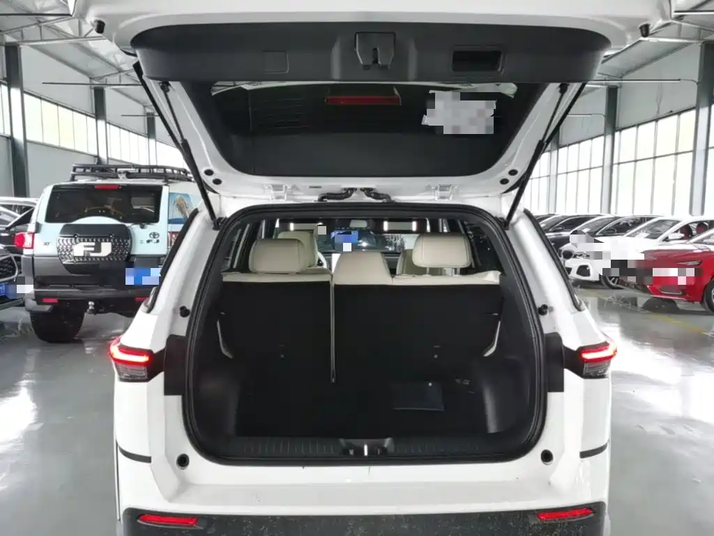 Platinum 3X 2025 520 Pro купить на сайте DeffCars