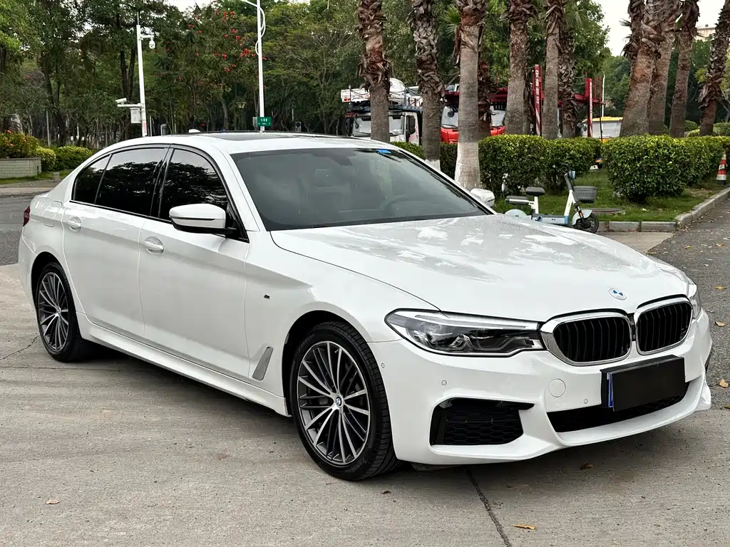 BMW 5 Series 2020 530Li Exclusive M Sports Package купить на сайте DeffCars