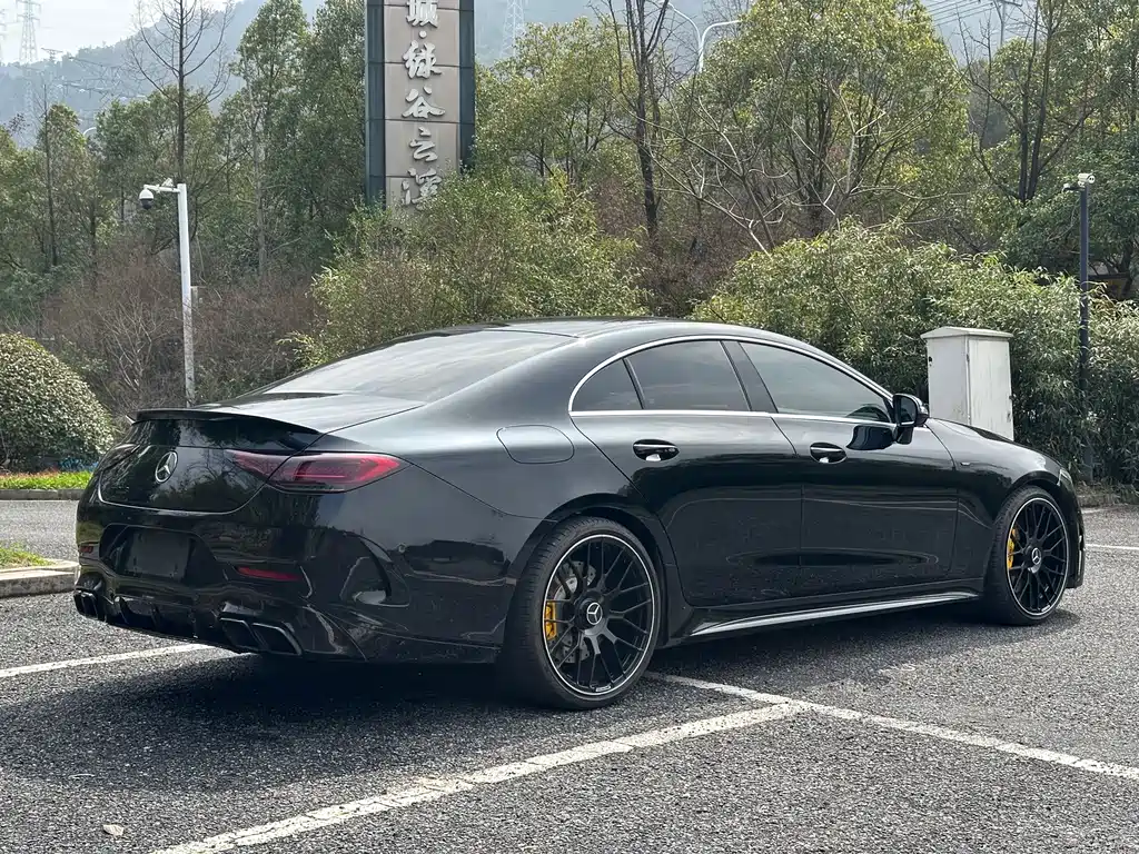 Mercedes-Benz CLS 2022 CLS 300 luxury model купить на сайте DeffCars