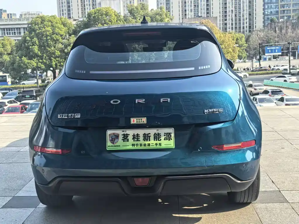 Euler Good Cat 2021 Model 400km Standard Range Venus Edition Lithium Iron Phosphate купить на сайте DeffCars