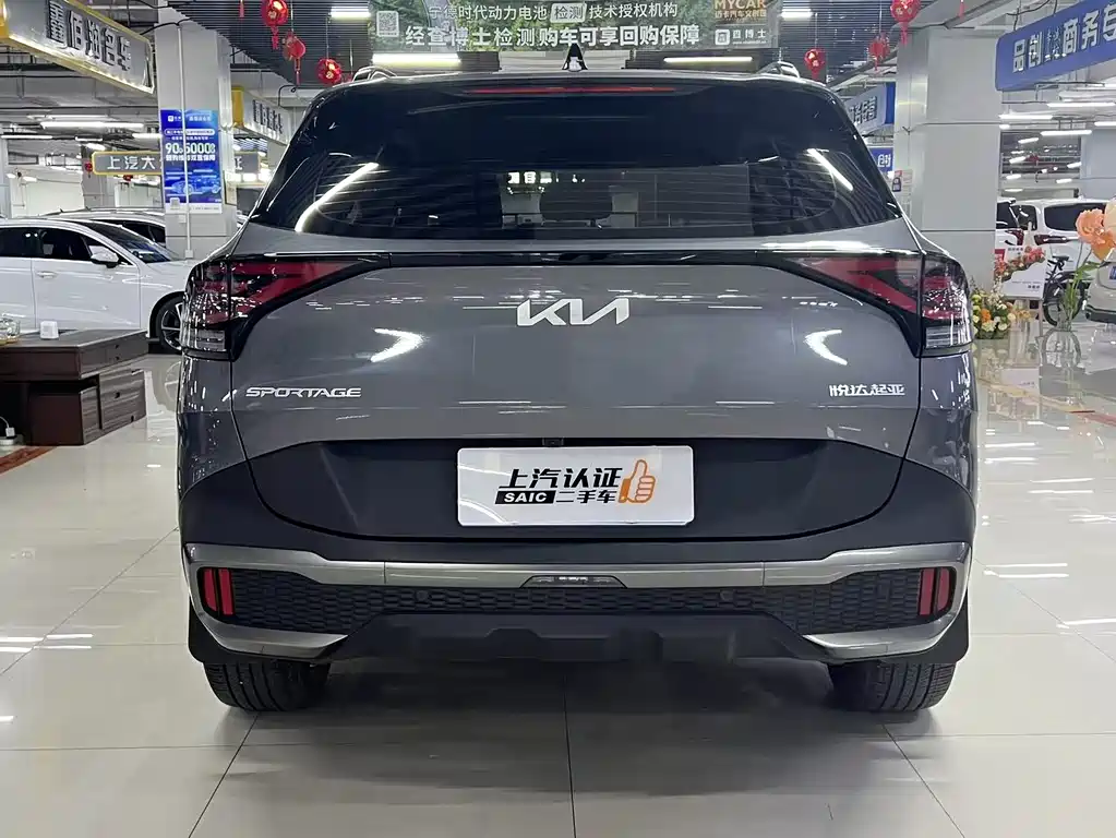 Lion Platinum Extends the World 2023 2.0T Two-wheel Drive Premium Edition купить на сайте DeffCars