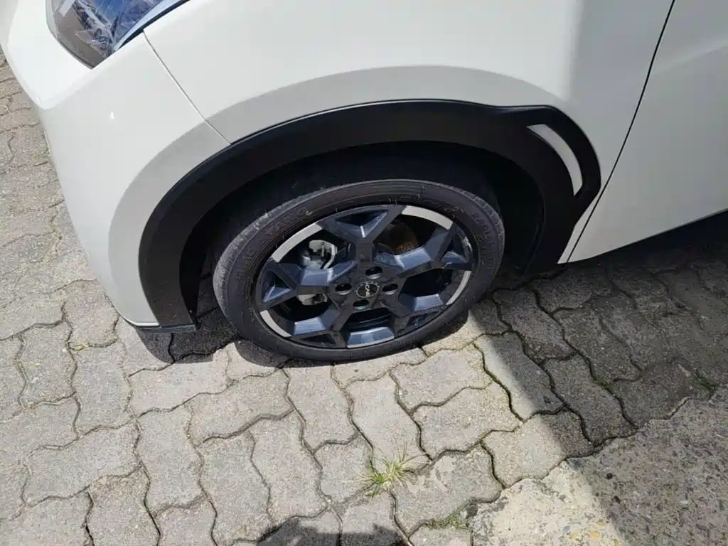 Seagull 2025 305km Free Edition купить на сайте DeffCars