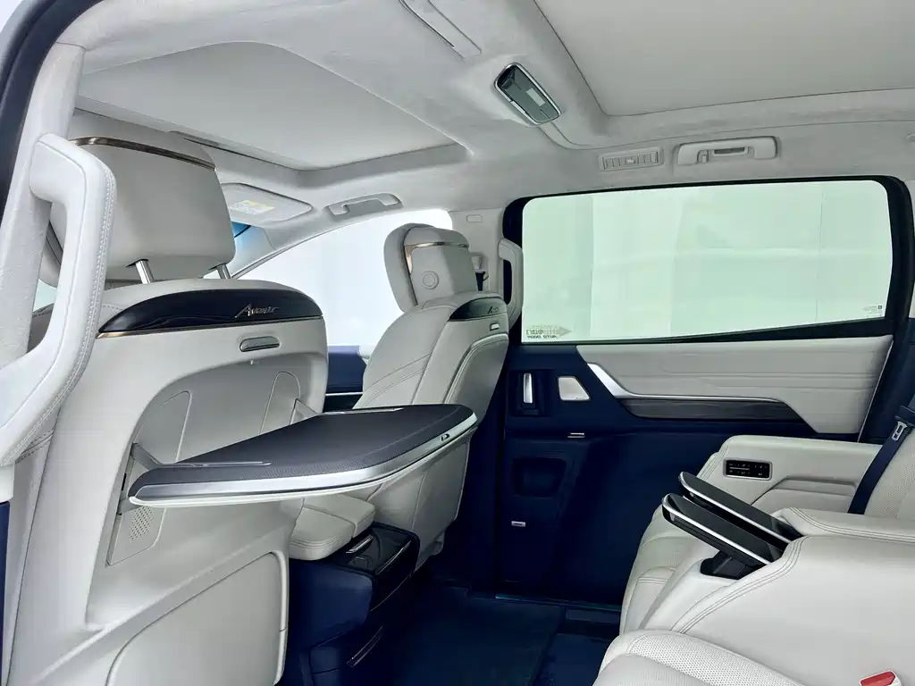 Century 2023 2.0T Six-seater Yuanshi Edition купить на сайте DeffCars