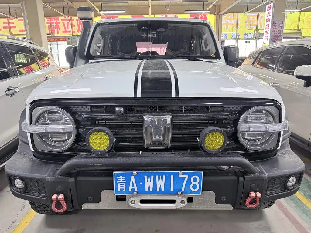 Tank 300 2021 2.0T Tribute to Monet Limited Edition купить на сайте DeffCars