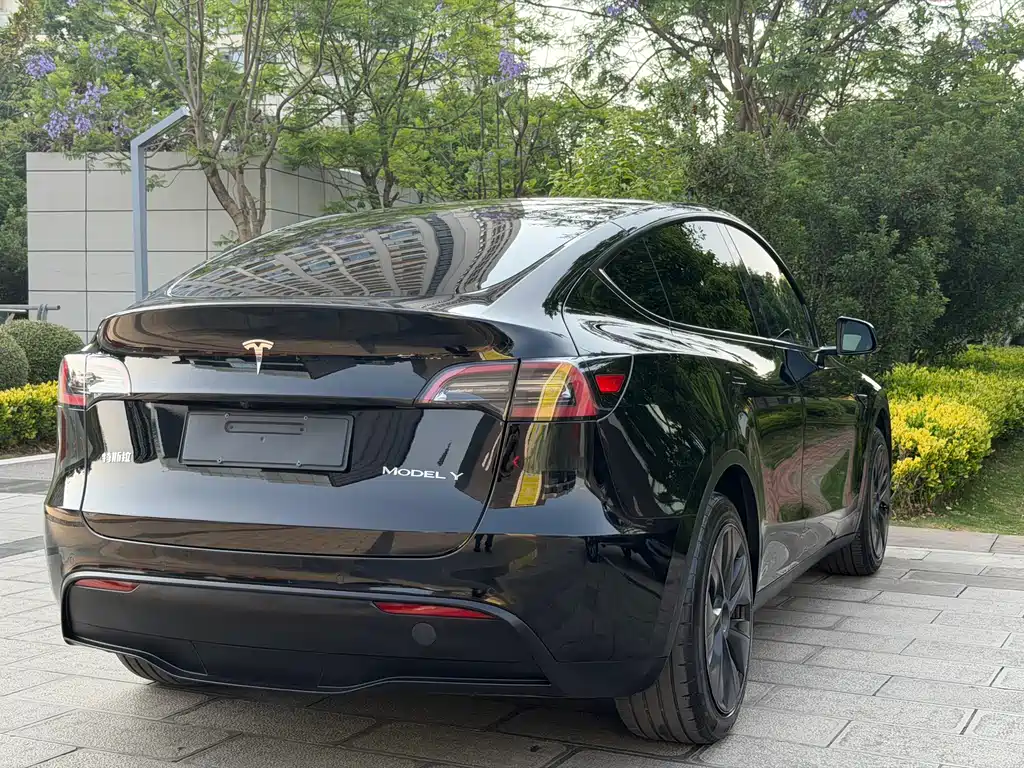 Model Y 2023 rear-wheel drive version купить на сайте DeffCars