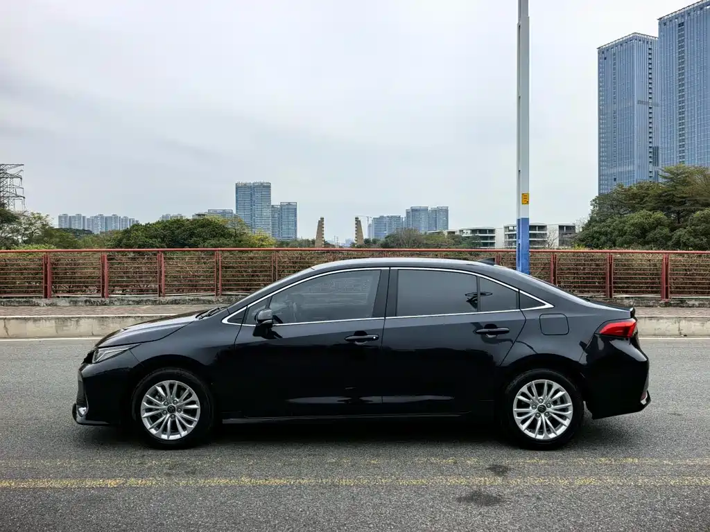 Asia Lion 2021 2.0L Advanced Edition купить на сайте DeffCars
