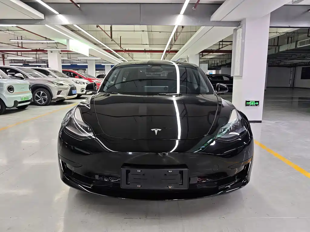 Model 3 2022 rear-wheel drive version купить на сайте DeffCars