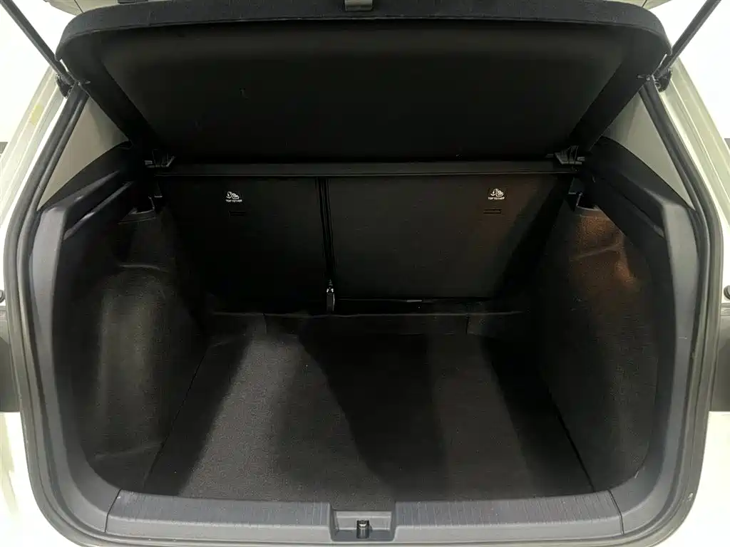 Tuyue 2026 Xinrui 1.5L Ruijin Edition купить на сайте DeffCars