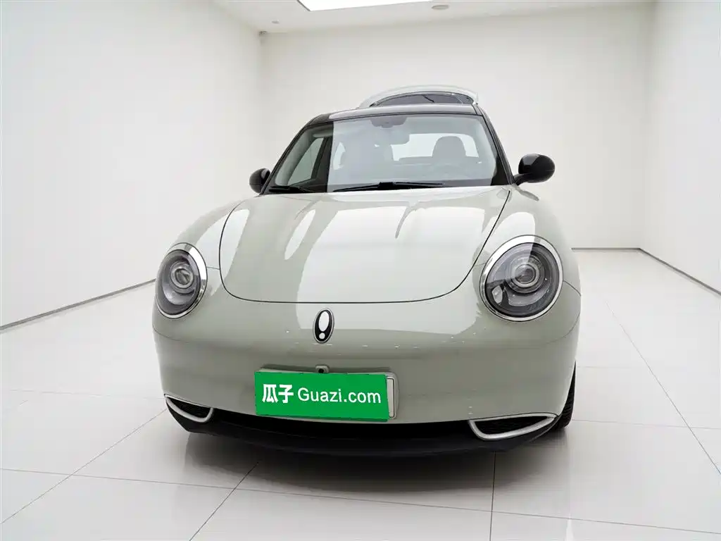 Euler Good Cat 2023 Model 401km Standard Range Honor Type Lithium Iron Phosphate купить на сайте DeffCars