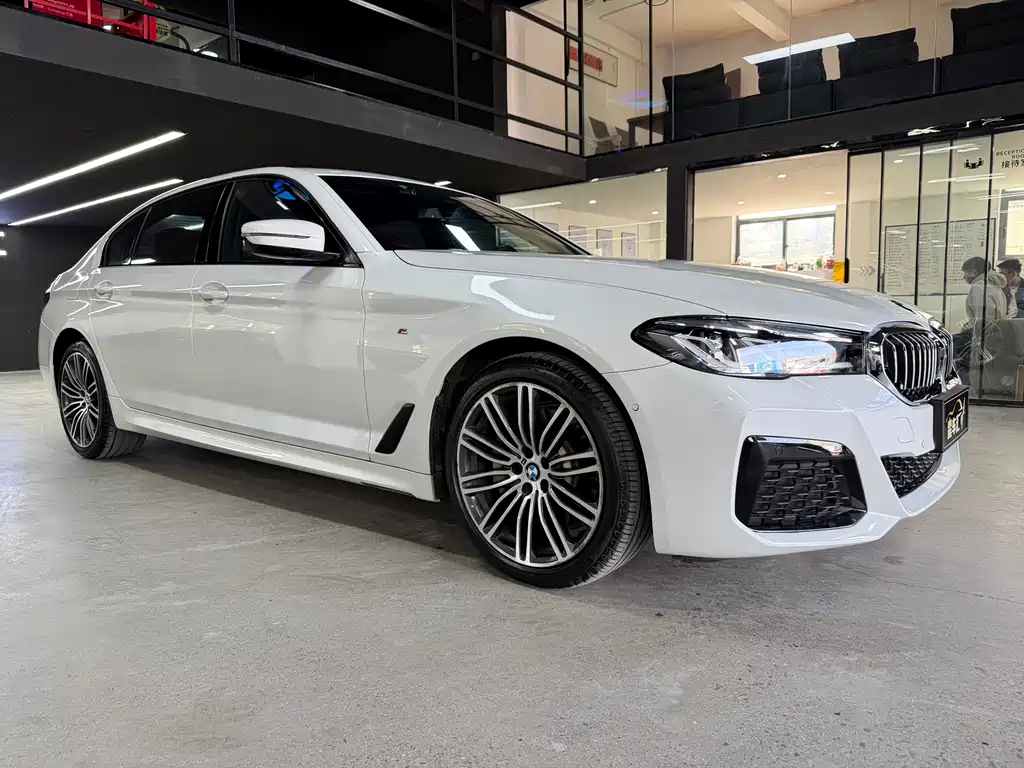 BMW 5 Series 2019 530Li Leading M Sports Package купить на сайте DeffCars