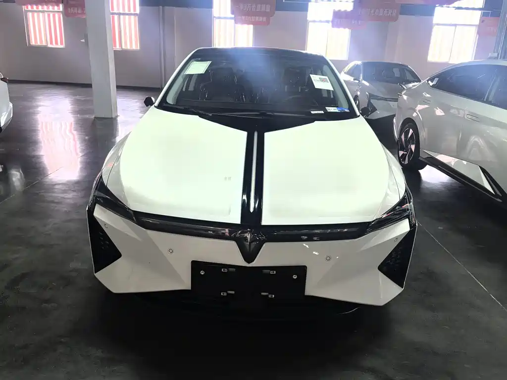 Lingxi L 2025 Number One Player Edition + Super Double Option Package купить на сайте DeffCars