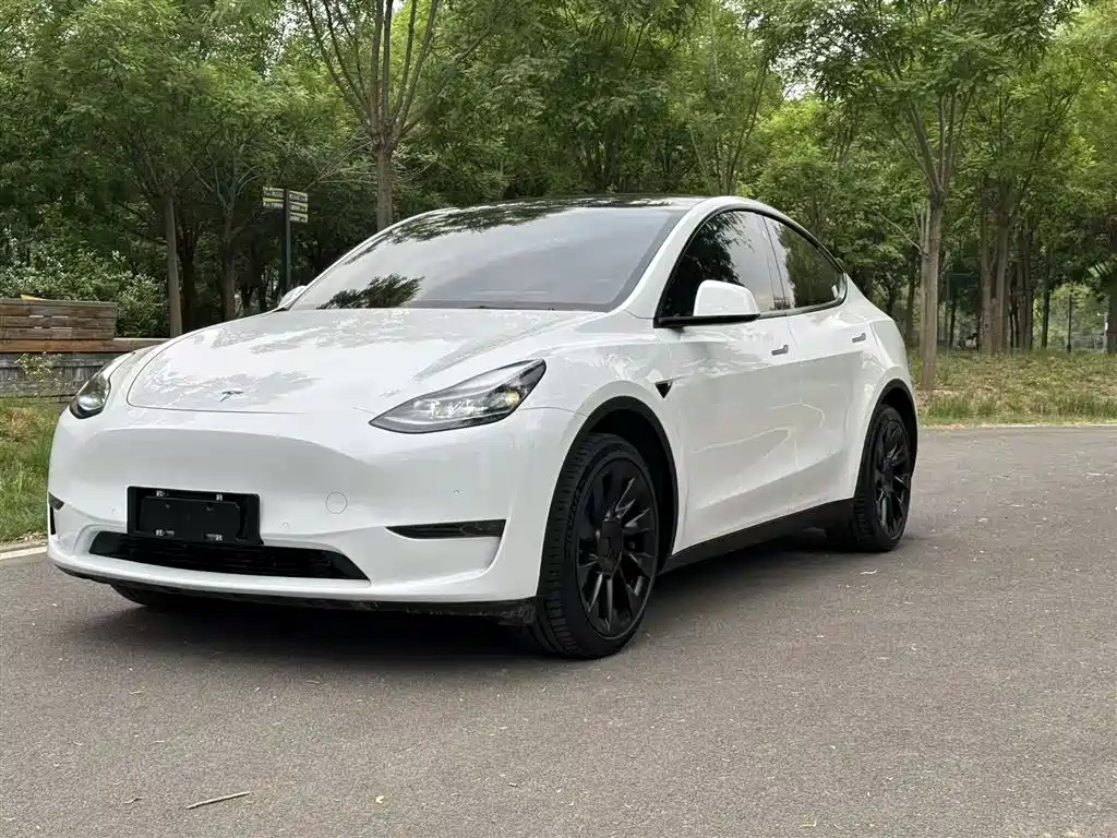 Model Y 2021 long-range all-wheel drive version купить на сайте DeffCars