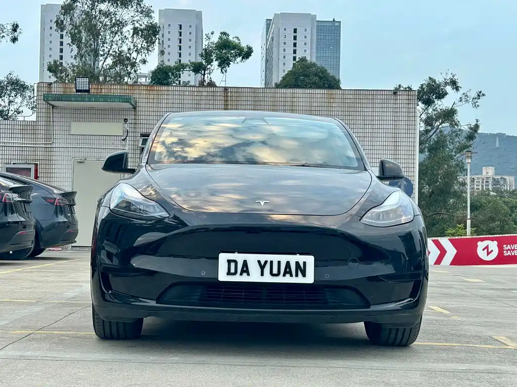 Model Y 2023 rear-wheel drive version купить на сайте DeffCars