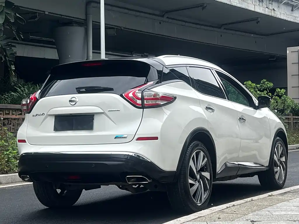 Loulan 2019 2.5 S/C HEV XL 4WD Hybrid Intelligent Premium Edition National VI купить на сайте DeffCars