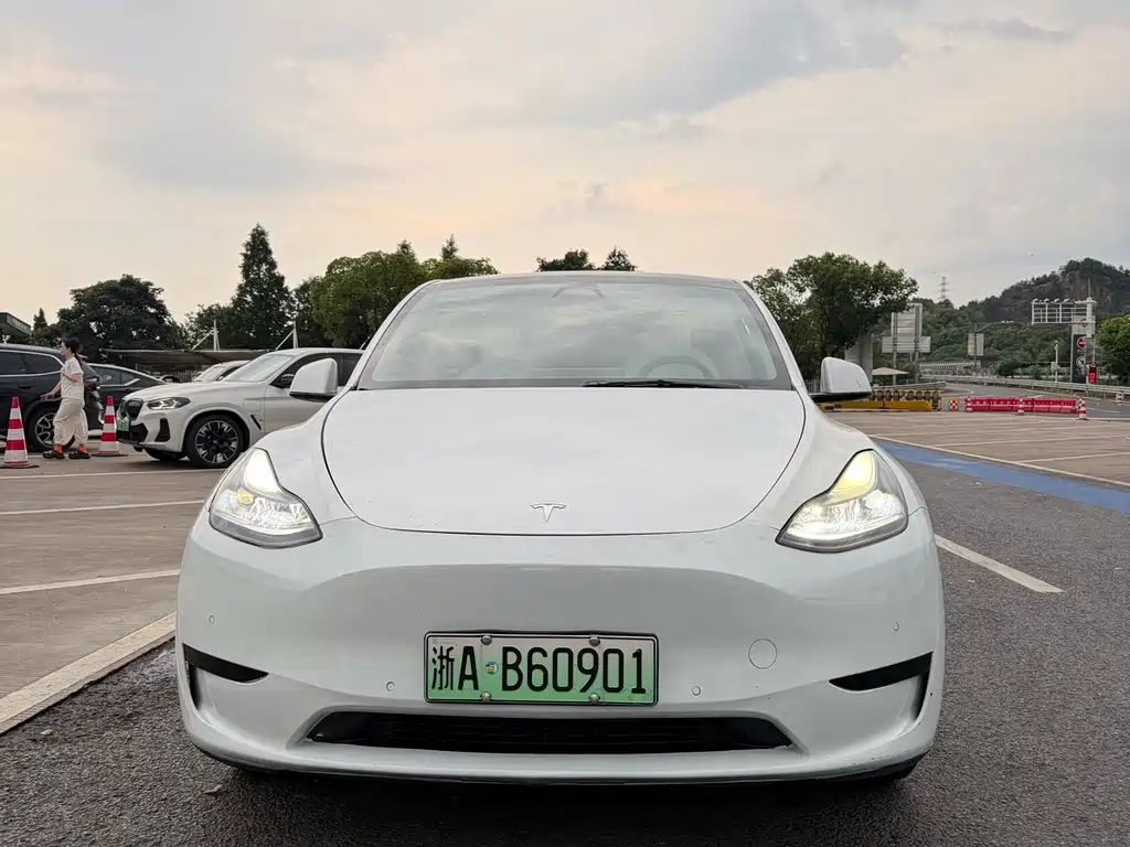 Model Y 2022 rear-wheel drive version купить на сайте DeffCars