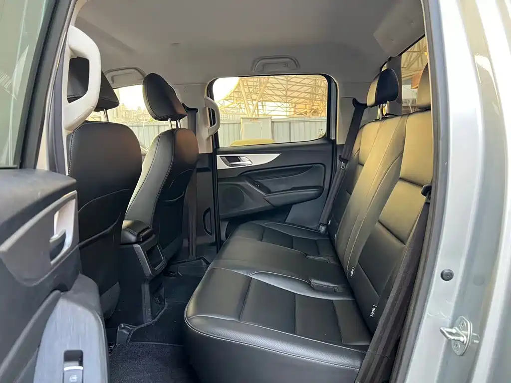 Cannon 2021 2.0T commercial version automatic diesel two-wheel drive elite standard box GW4D20M купить на сайте DeffCars